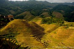China, Guilin, Rice Terraces